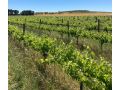 Belalie Wines Farm stay, South Australia - thumb 3