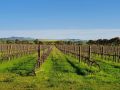 Belalie Wines Farm stay, South Australia - thumb 6
