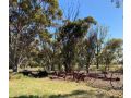 Belalie Wines Farm stay, South Australia - thumb 5