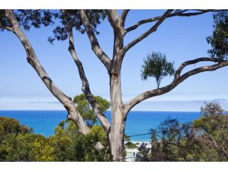 Ben My Chree Guest house, Lorne - 4