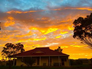 Bendleby Ranges Farm stay, South Australia - 2