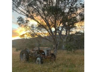 Big Yard Escapes Campsite, New South Wales - 2