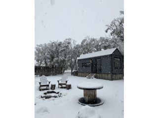 Big Yard Escapes Campsite, New South Wales - 4