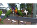 BIG4 Breeze Holiday Parks - Cania Gorge Accomodation, Queensland - thumb 18