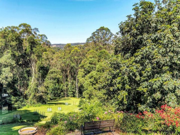 Billagunyah - Rainforest Retreat Guest house, Upper Kangaroo River - imaginea 5
