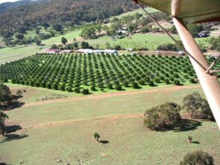 Bindoon's Windmill Farm Farm stay, Western Australia - 3