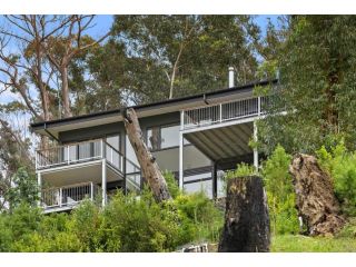 Birdsong Guest house, Wye River - 2