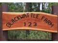 Blackwattle Farm Farm stay, Beerwah - thumb 15