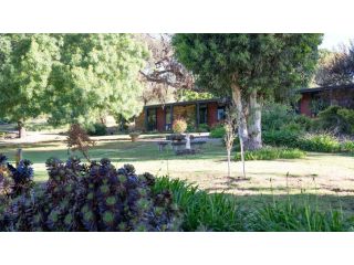 Blickinstal Holiday Retreat Guest house, South Australia - 4