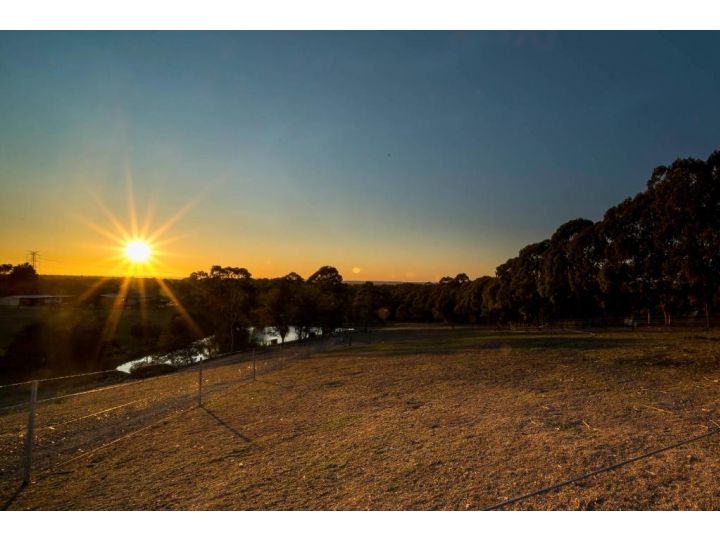 Blueberry Hills On Comleroy Farmstay - B&B and Self-Contained Cottages Farm stay, Kurrajong - imaginea 7