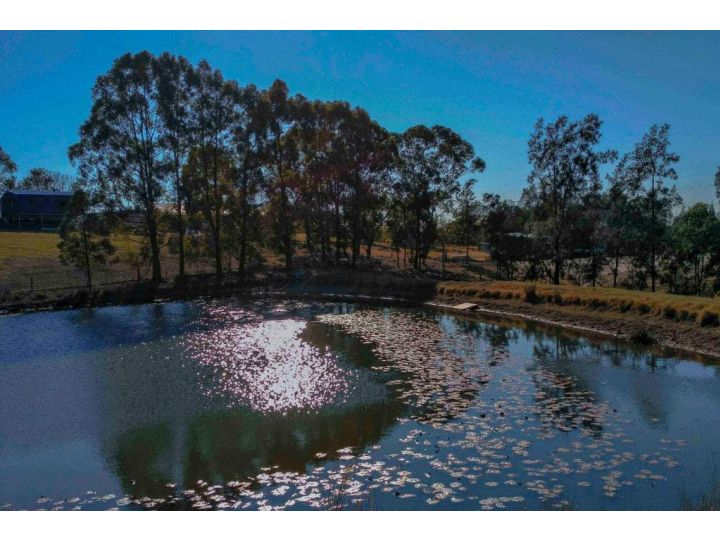 Blueberry Hills On Comleroy Farmstay - B&B and Self-Contained Cottages Farm stay, Kurrajong - imaginea 9