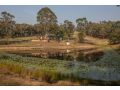 Blueberry Hills On Comleroy Farmstay - B&B and Self-Contained Cottages Farm stay, Kurrajong - thumb 6