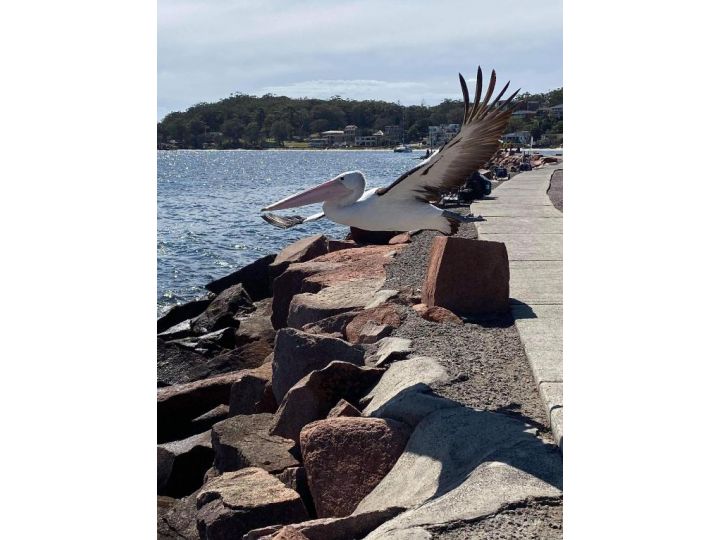 Boat Harbour Apartment Apartment, Anna Bay - imaginea 16