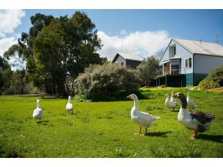 Boatshed Villa Green Door Guest house, Daylesford - 1