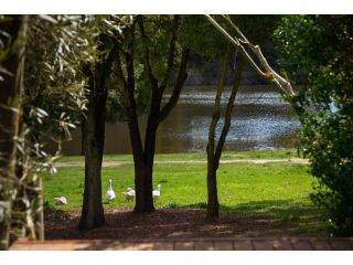 Boatshed Villa Green Door Guest house, Daylesford - 2