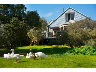 Boatshed Villa Yellow Door Guest house, Daylesford - 1