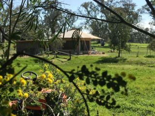 Boongarrie Luxury Tent Campsite, Queensland - 5