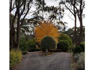 Mt Lofty Botanic Garden Studio Guest house, South Australia - 1