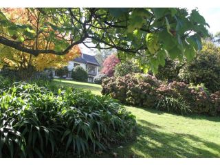 Boyanda at Ferny Creek Guest house, Victoria - 4