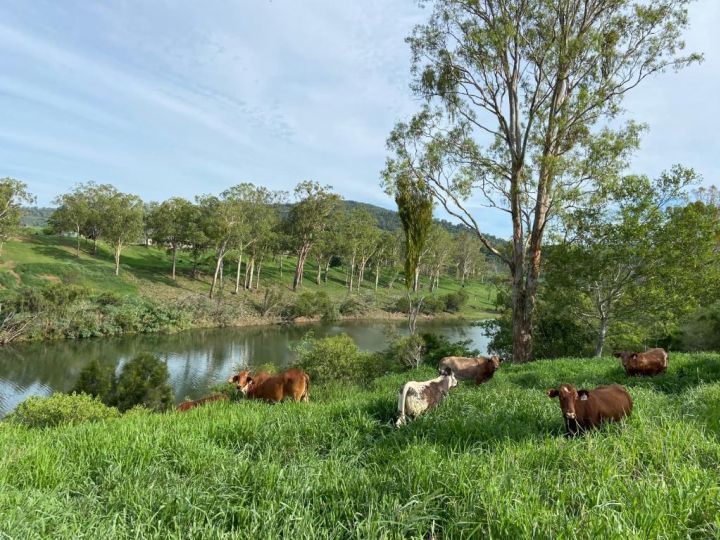 Gaia Vida Farmstead River Cottage - Lowood Chalet, Queensland - imaginea 5