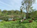 Gaia Vida Farmstead River Cottage - Lowood Chalet, Queensland - thumb 5