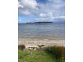 Bruny Ocean Cottage Guest house, Alonnah - thumb 14