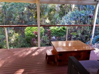 Buderim Forest Hideaway Bed and breakfast, Buderim - 4