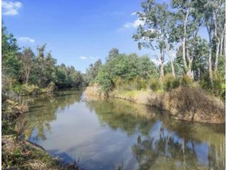 Alpine Riverside Accommodation Guest house, Myrtleford - 1