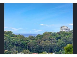 Treehouse Terrace , Mind the Steep Driveway Apartment, Gold Coast - 4