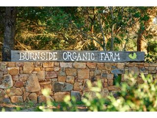 Burnside Organic Farm Farm stay, Margaret River Town - 5