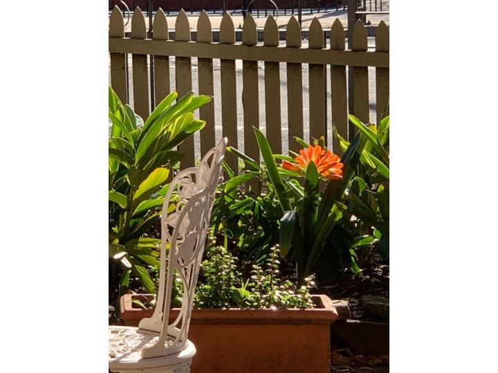 Burwood Bed and Breakfast Bed and breakfast, Sydney - imaginea 5
