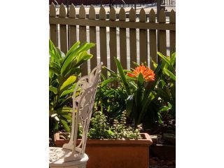 Burwood Bed and Breakfast Bed and breakfast, Sydney - 5