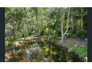 Private retreat with City & Ocean views close to theme parks Guest house, Gold Coast - 3