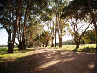 Bussells Bushland Cottages Hotel, Margaret River Town - 5