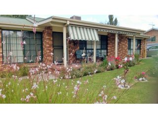 Butterfly Cottage Guest house, Tumut - 2