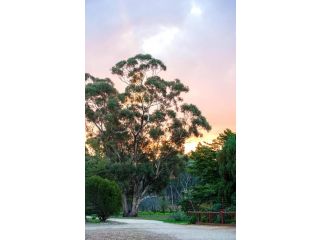 Byronsvale Vineyard and Accommodation Apartment, Bendigo - 3