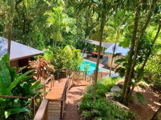Cairns Rainforest Retreat Bed and breakfast, Cairns - 3