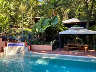 Cairns Rainforest Retreat Bed and breakfast, Cairns - 5