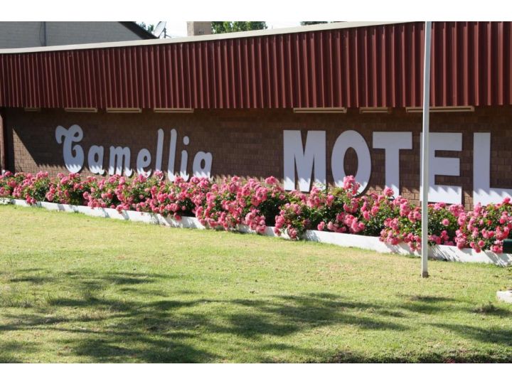 Camellia Motel Hotel, Narrandera - imaginea 8