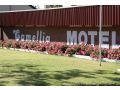 Camellia Motel Hotel, Narrandera - thumb 8