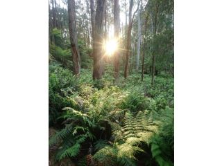 Carinya Park Farm stay, Victoria - 5