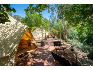 Castlemaine Gardens Luxury Glamping Campsite, Castlemaine - 2