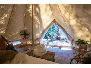 Castlemaine Gardens Luxury Glamping Campsite, Castlemaine - 4