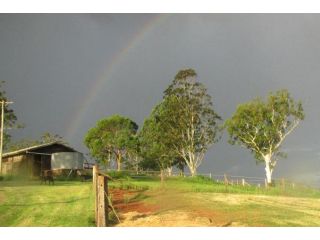 CBR Equine Cottage Farm stay, Queensland - 2