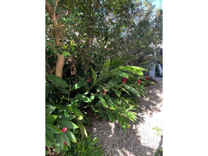 Cedar Family Getaway Villa elegant, modern, sunny Villa, Palm Cove - imaginea 17