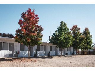 Cedar Lodge Hotel, Braidwood - 3