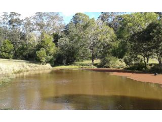 Central Coast Alpaca Farm Stay Guest house, New South Wales - 1