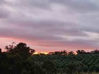 Canyonleigh Retreat Farm stay, New South Wales - 1