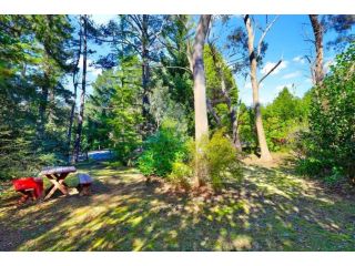 Cherry Tree Cottage Guest house, Leura - 3