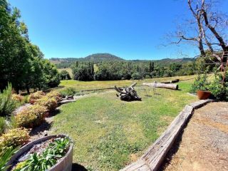 Chez Nous - Retro Style Orchard Cottage Guest house, New South Wales - 2